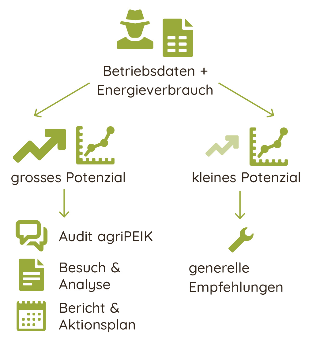 Illustration process